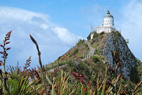 Nugget Point Lighthouse in New Zealand photo