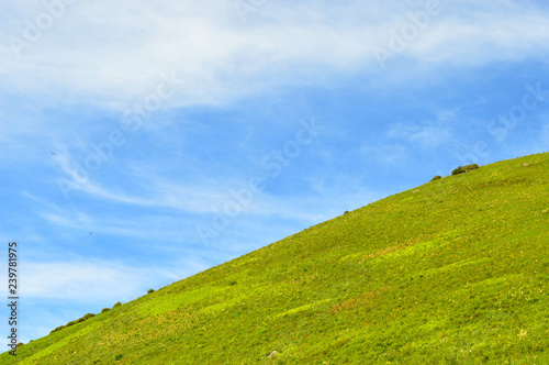 小高い丘（背景）