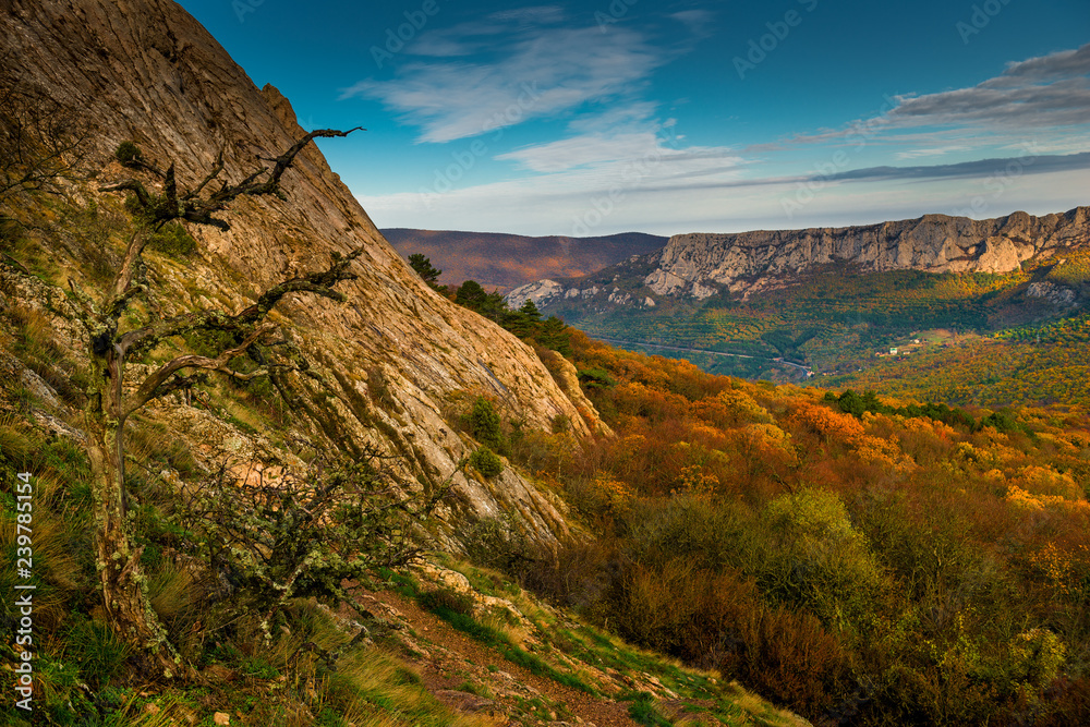 Scenic autumn landscape on a sunny day in the mountains