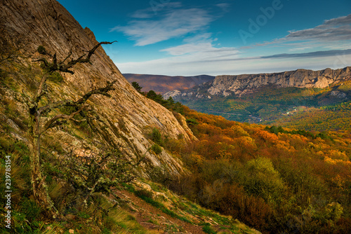 Scenic autumn landscape on a sunny day in the mountains