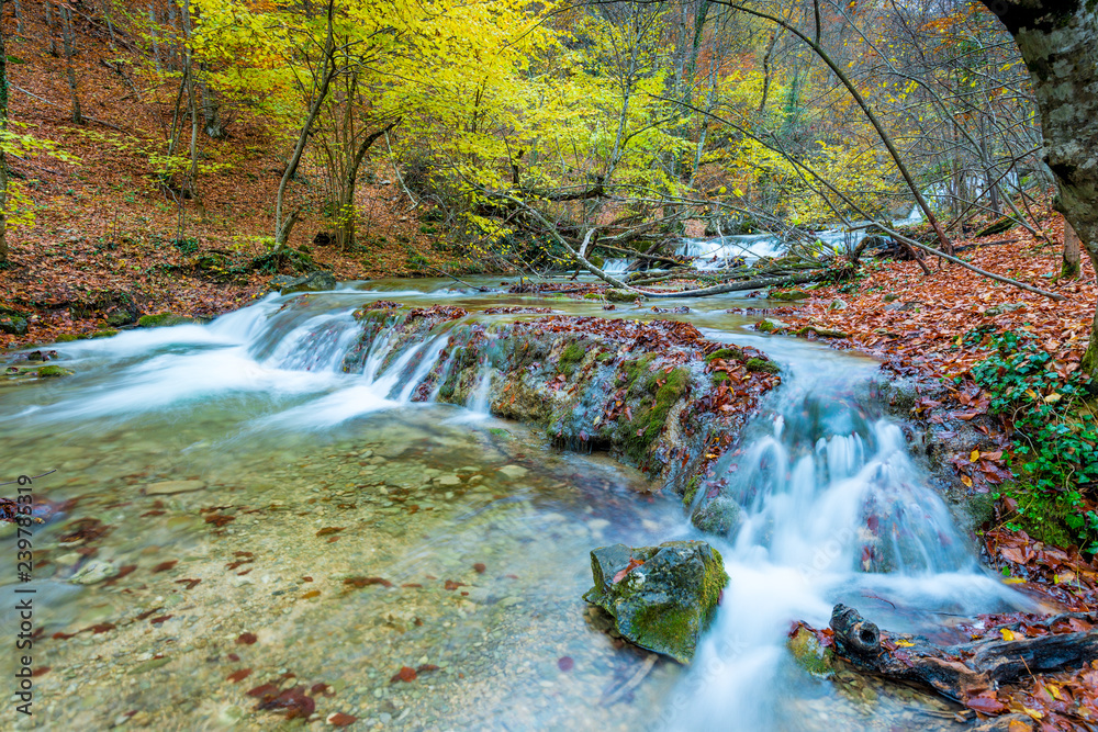 Autumn scenic landscape, mountain river in the autumn forest in the mountains Autumn scenic landscape, mountain river in the autumn forest in the mountains