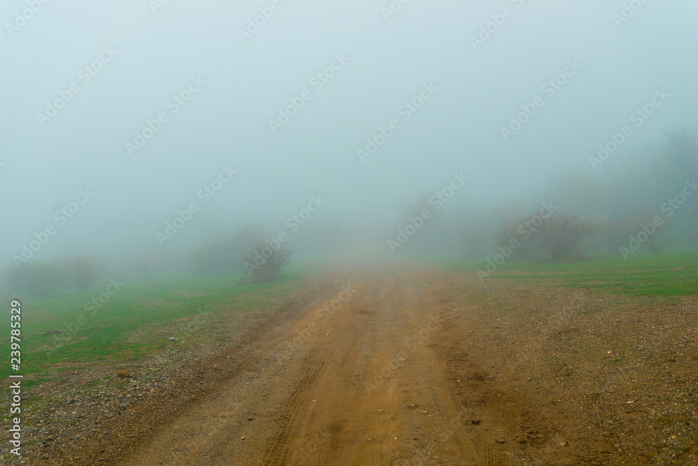 Goose fog and dirt road. Autumn landscape on a foggy day