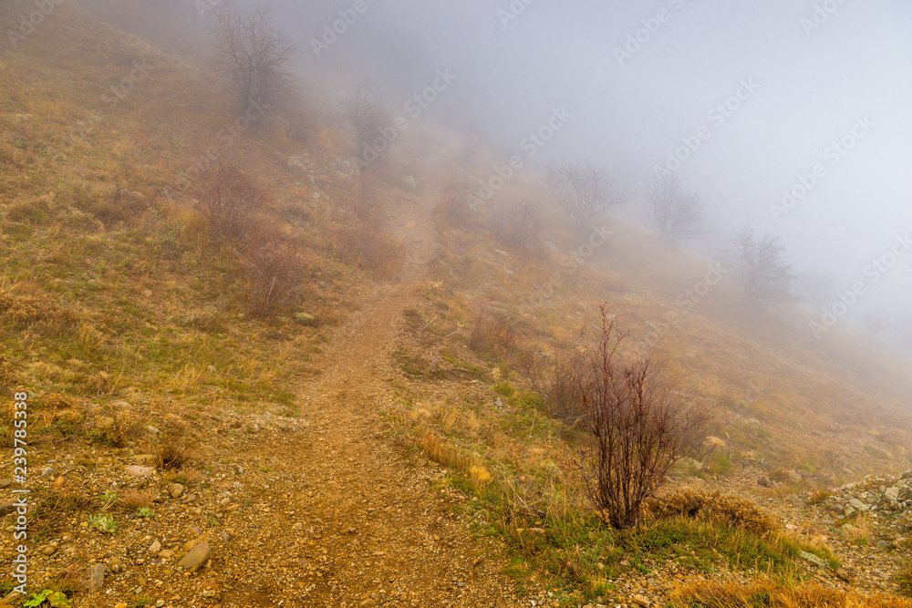 gloomy autumn landscape on a foggy day in the mountains