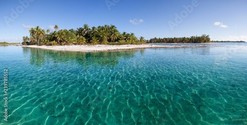 Solitary island in lagoon, beach with palm trees, turquoise water, Tikehau Atoll, Tuamotu archipelago, society islands, Windward Islands, French Polynesia, Oceania photo