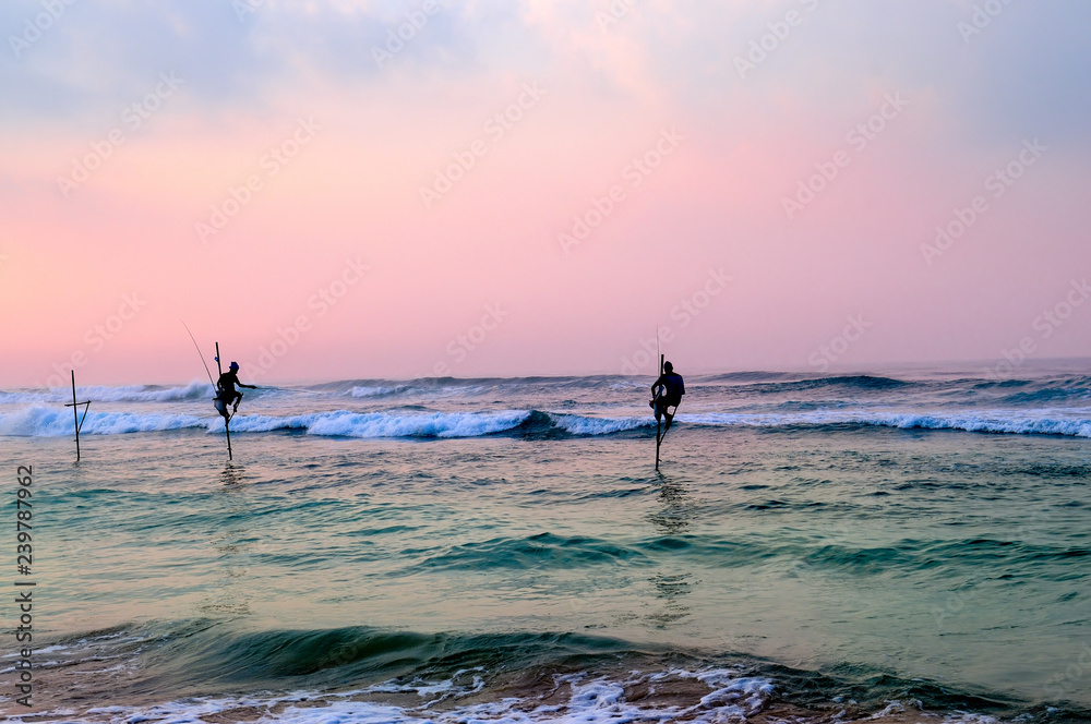 Fototapeta premium Traditional stilt fishermen in Sri Lanka.