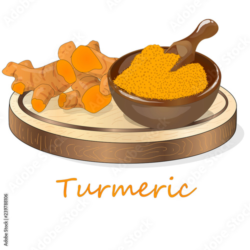Turmeric (Curcuma longa Linn) powder and root on white background vector illustration.