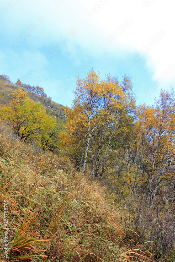 Fototapeta premium mountain natural scenery