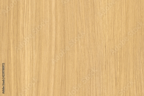 natural light brown oak tree timber wood structure texture backdrop surface