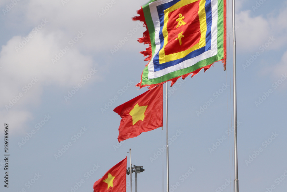 Waving Vietnamese national flags Waving Vietnamese national flags