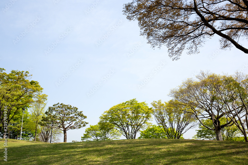 Fototapeta premium It is Jinjuseong Fortress which is a famous tourist attraction in Korea.