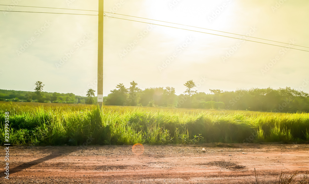 Country road in Thailand with electric pole at sunrise