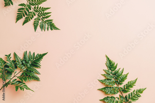 Tropical green leaves on color background