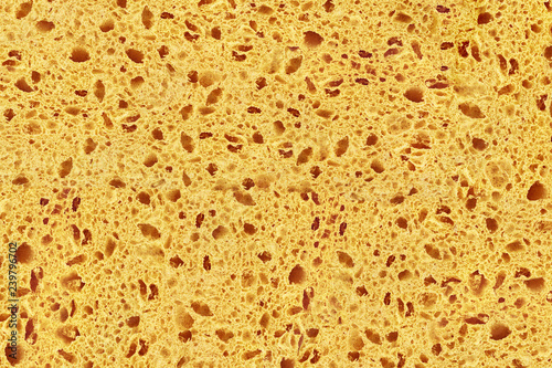 natural organic sponge structure texture background wallpaper