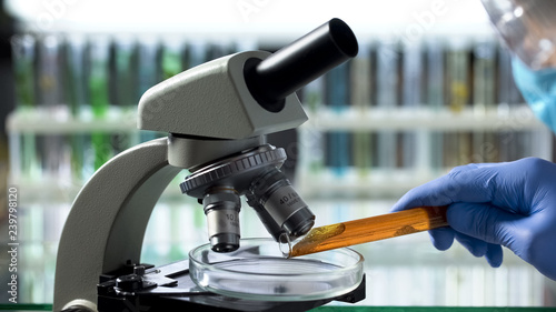 Scientist observing samples of oil spill under microscope to assess risks