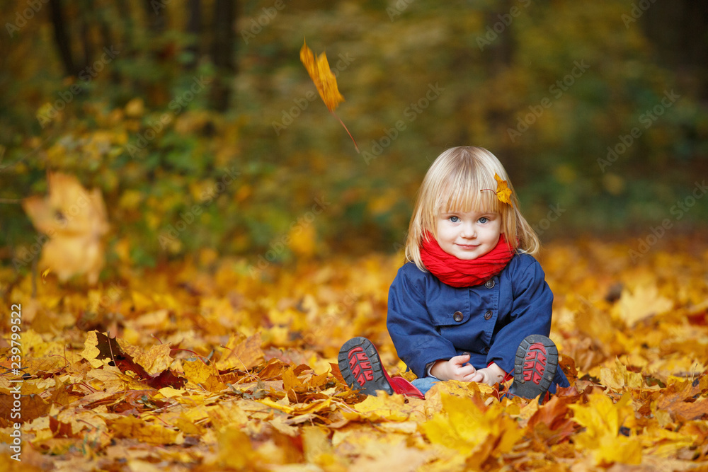 Little autumn funny girl sitting in autumn park. Selective focus, copy space. Little autumn funny girl sitting in autumn park. Selective focus, copy space.