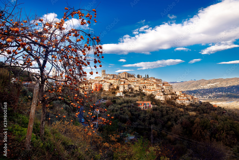 Beautiful medieval town persimmon tree in Tuscany, Vezzano Ligure, Italy
