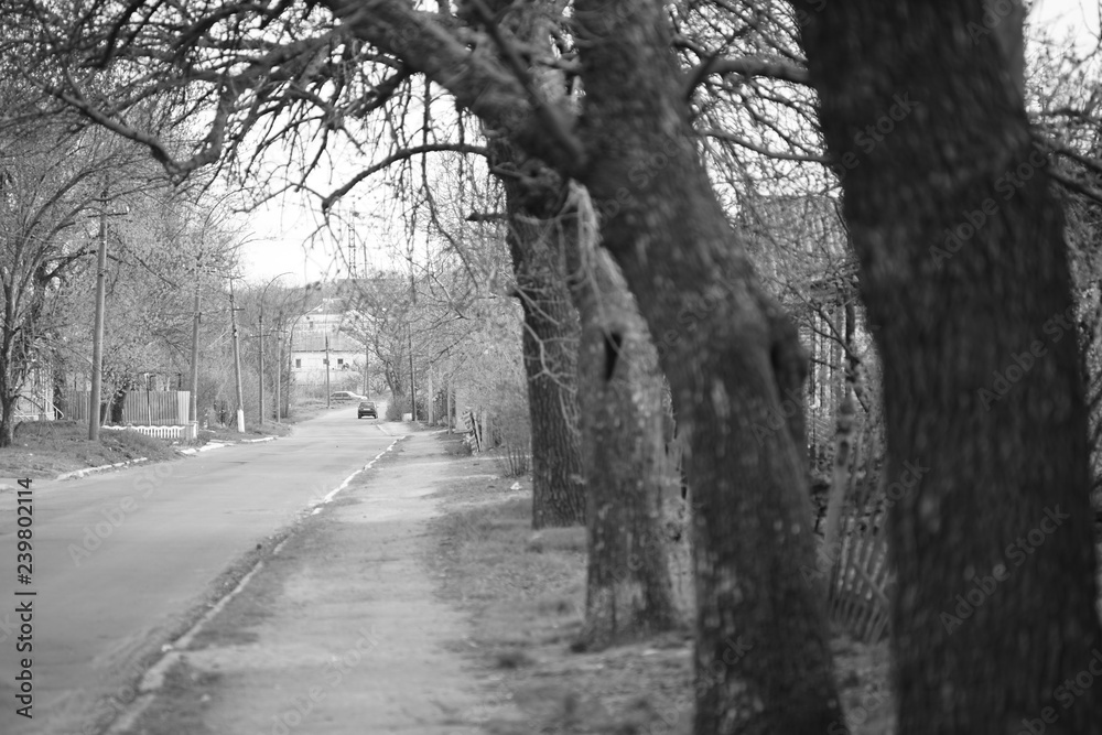 Asphalt country road with pavement and trees, in black and white.