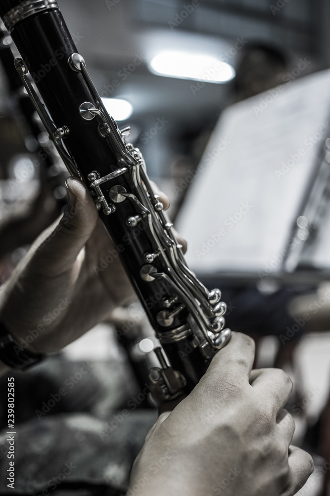 Fototapeta premium Super clarinet.