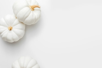White pumpkins on a white background, creative flat lay thanksgiving concept, top view with copy space