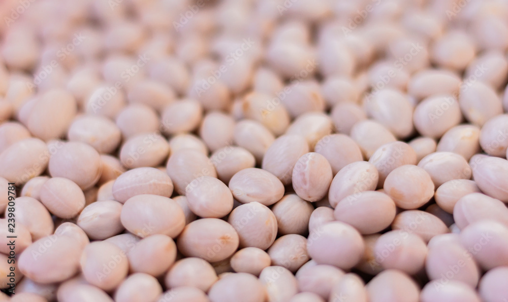 White beans background (Phaseolus) – food for veggies White beans background (Phaseolus) – food for veggies