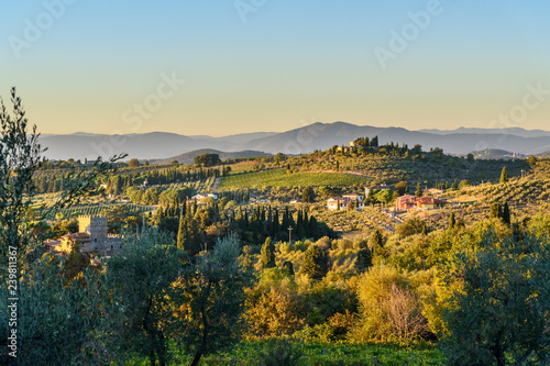 Countryside landscape, Vineyard in Chianti region. Tuscany. Italy. photo