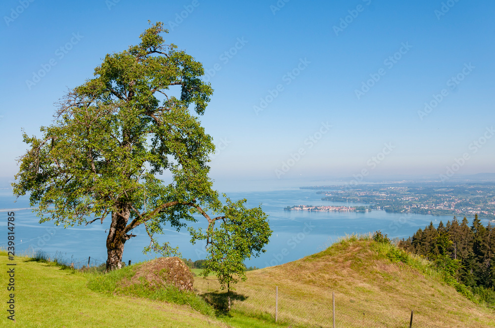aerial view on Bodensee aerial view on Bodensee
