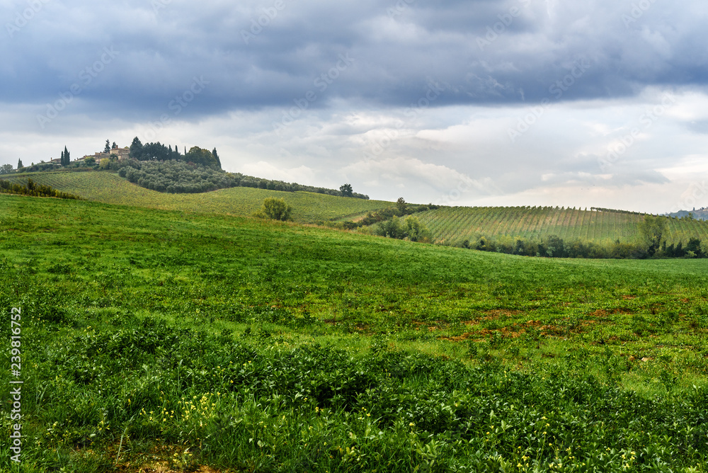 Landscape in Chianti region in province of Siena. Tuscany. Italy Landscape in Chianti region in province of Siena. Tuscany. Italy