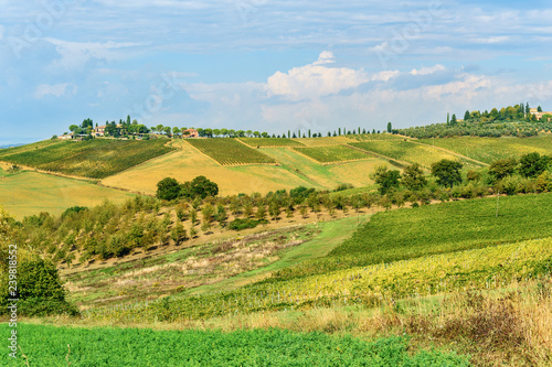 Landscape in Chianti region in province of Siena. Tuscany. Italy