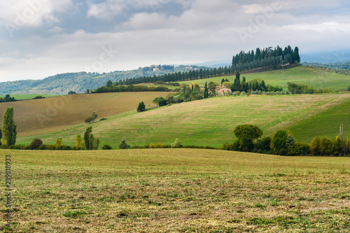 Landscape in Chianti region in province of Siena. Tuscany. Italy © Elena Odareeva