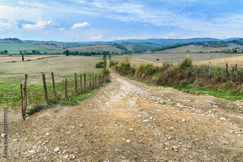 Road in Chianti region in province of Siena. Tuscany. Italy