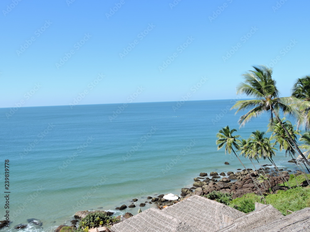 Fototapeta premium Coconut trees and Beach green nature landscape