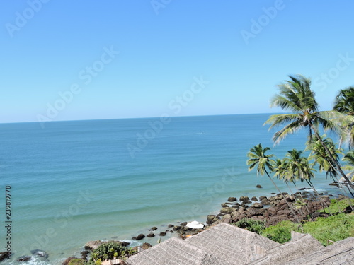 Coconut trees and Beach green nature landscape © sankar1991