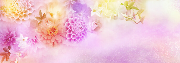 beautiful romance flower dahlia,roses border for header background for valentine's day