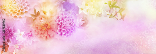 beautiful romance flower dahlia,roses border for header background for valentine's day