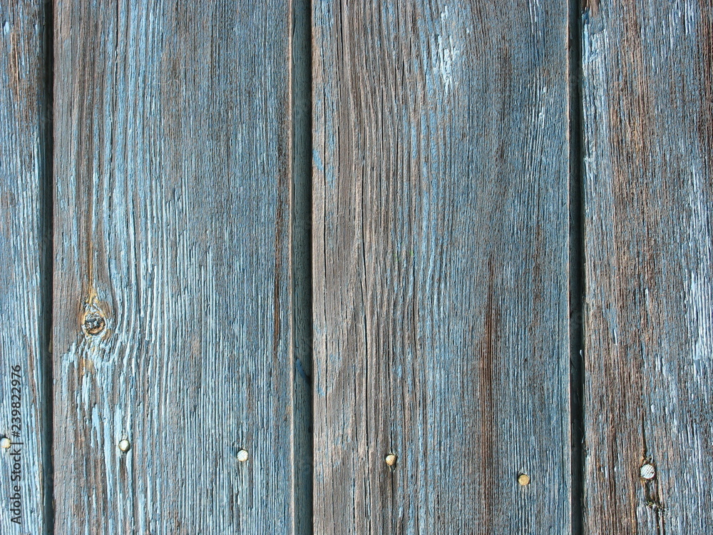 Wood board texture background with blue dry peeling paint and cracks Wood board texture background with blue dry peeling paint and cracks