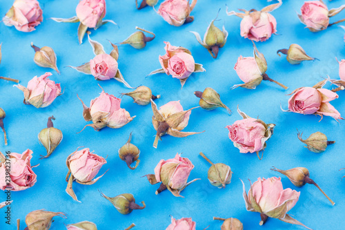 Background made from different rose blossoms on the blue base