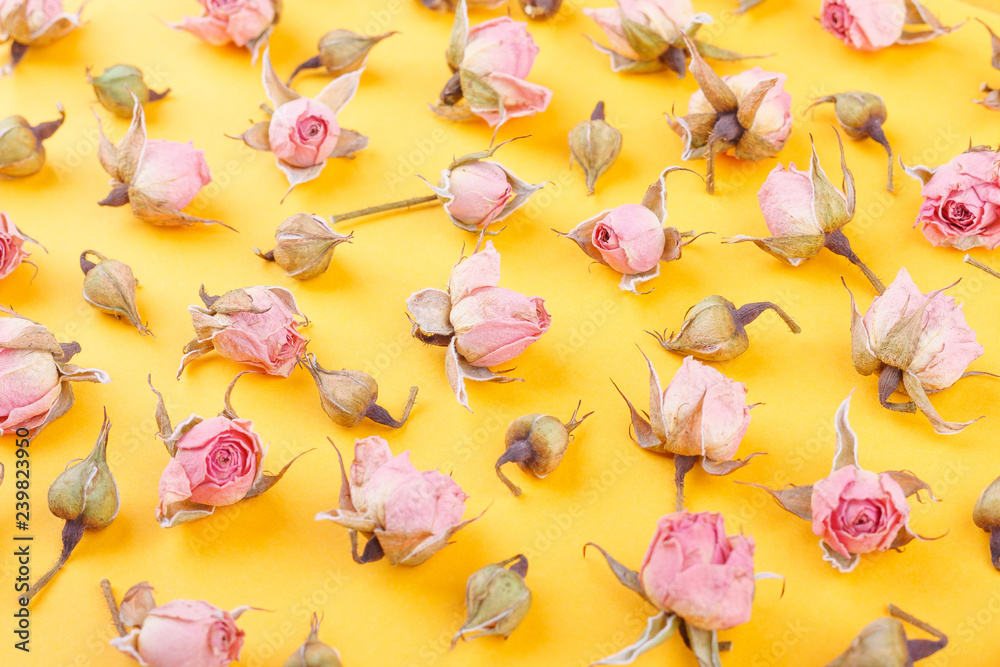 Fototapeta Tło wykonane z różnych kwiatów róży na pomarańczowej podstawie
