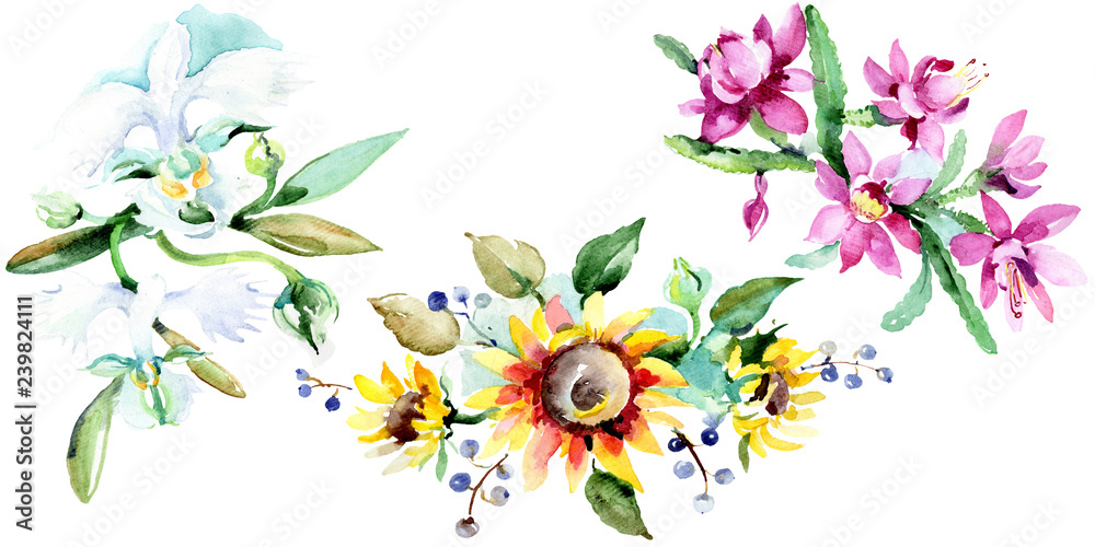 Bouquet watercolor background illustration set. Watercolour drawing isolated. Floral botanical flower. Isolated.