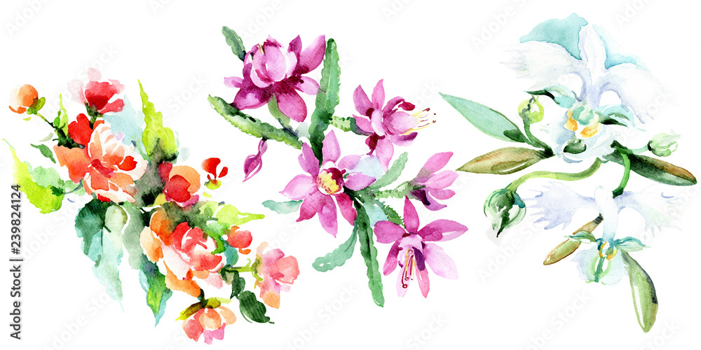 Bouquet watercolor background illustration set. Watercolour drawing isolated. Floral botanical flower. Isolated.