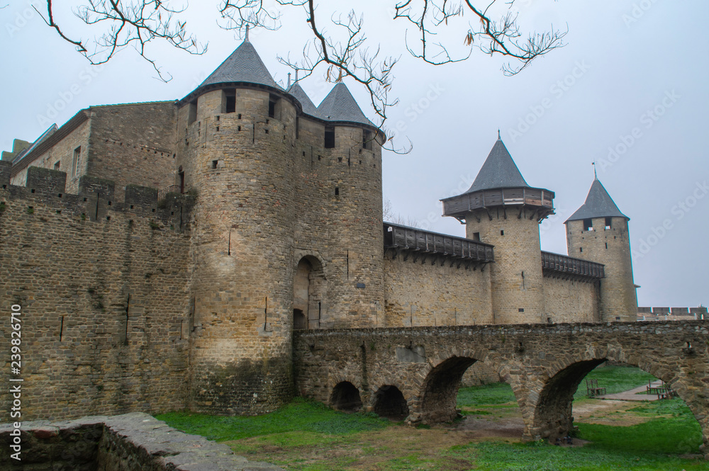 Castillo medieval de Carcassonne. Francia. Europa