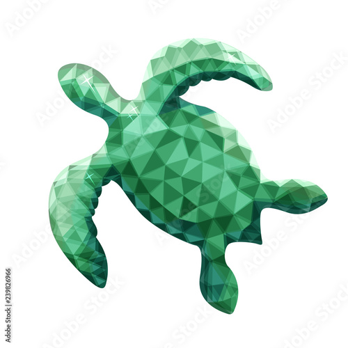 Vector design of turtle in ...