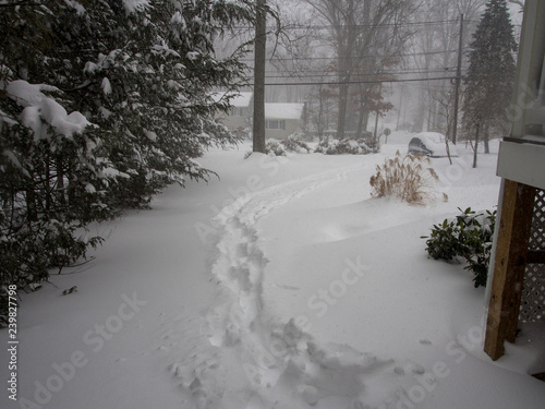 walking in the driveway during the snow storm (winter storm Jonas 2016) photo