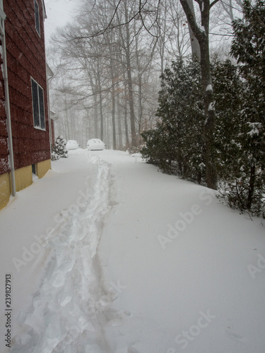 walking in the driveway of red house during the snow storm  photo