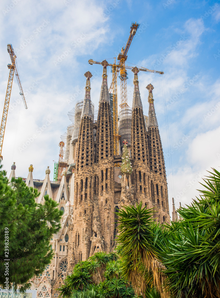 sagrada familia 