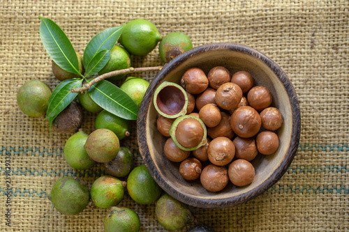 Macadamia nuts on sacks in natural light photo