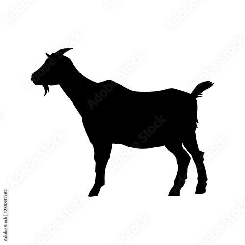 Goat standing silhouette