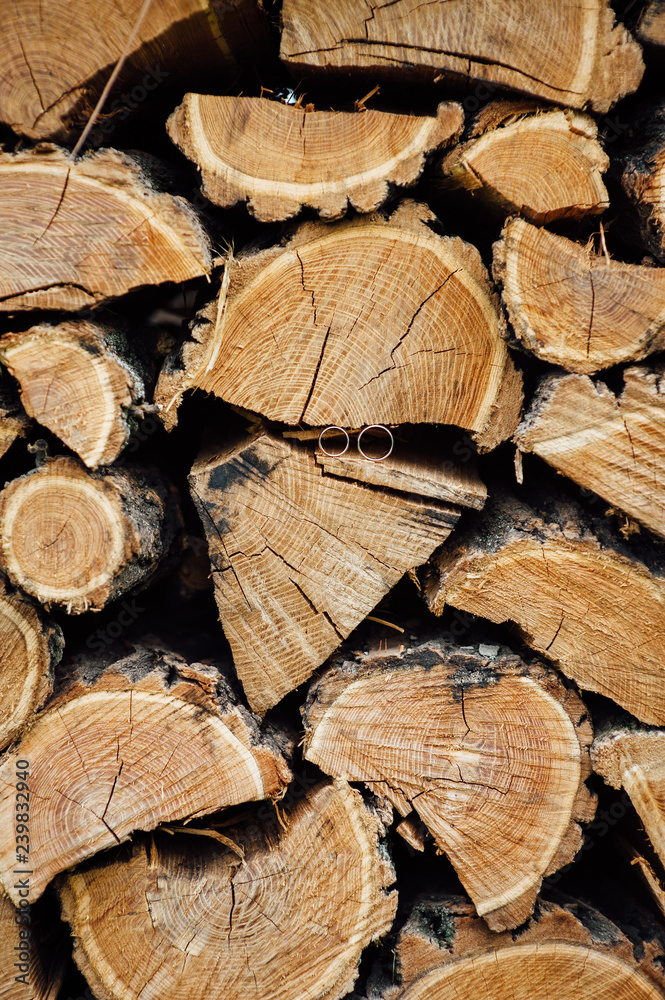 Wooden natural cut logs textured background with wedding rings, side view