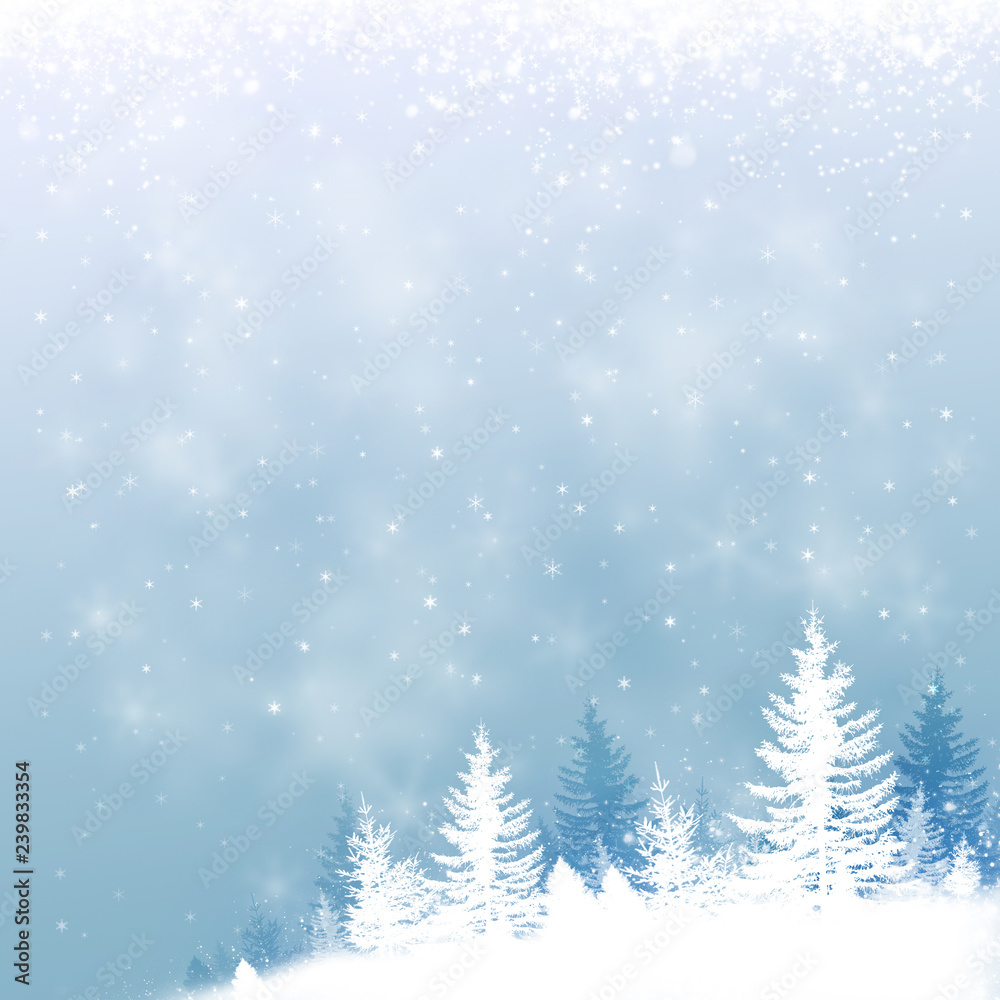 winter snow forest winter snow forest
