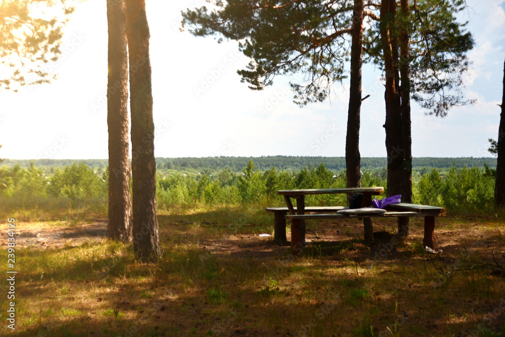 a place of rest in a pine forest. table and benches on a hill in the glare of light