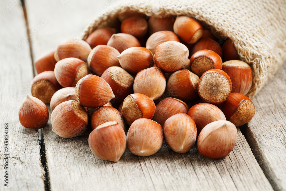 Hazelnuts in a cover, poured out from a bag from burlap on a gray wooden table Hazelnuts in a cover, poured out from a bag from burlap on a gray wooden table